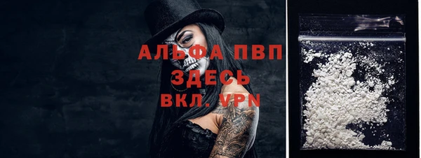 ПСИЛОЦИБИНОВЫЕ ГРИБЫ Верхний Тагил