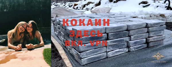 ПСИЛОЦИБИНОВЫЕ ГРИБЫ Верхний Тагил