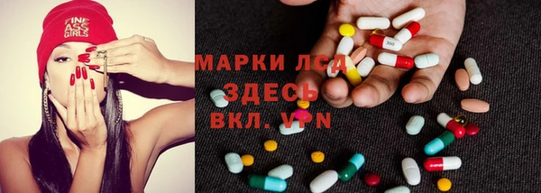 ПСИЛОЦИБИНОВЫЕ ГРИБЫ Верхний Тагил