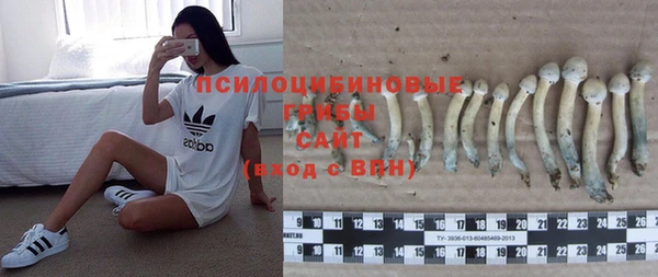 ПСИЛОЦИБИНОВЫЕ ГРИБЫ Верхний Тагил